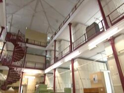 ATMOSPHERE: Kingdom of Plants 3D Interview at  Kew Stock Footage