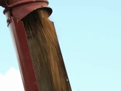 Grain processing Stock Footage