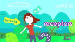 Why Does Spicy Food Taste Hot? Instructional Video