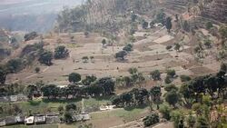 Valley Stock Footage