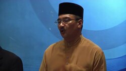 Malaysia and China on search for missing plane, expert on "pinging" News Clip