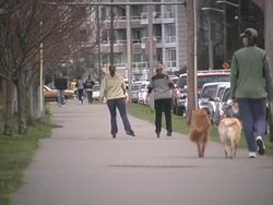 People on the boardwalk Stock Footage