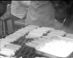 UASAF AIR DAY News Clip