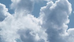 Anaerobe Instructional Video