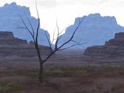 Stone dessert. Stock Footage