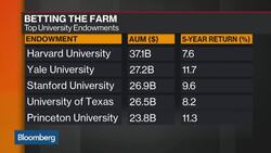 Harvard Endowments Bet the Farm on Brazil News Clip