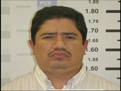 Alleged top drug cartel member arrested in restaurant Instructional Video