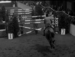 SHOW JUMPING'S CHARITY GALA News Clip