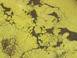 MS AERIAL ZO Shot of Kopchensee / Germany Stock Footage