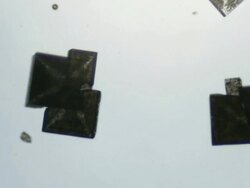 Salt crystallizing under microscope Stock Footage