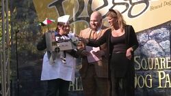 CLEAN : Pampered pooches don their best in annual News Clip