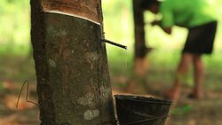 Tapping Stock Footage