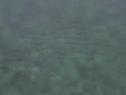 rain drops Stock Footage