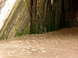 A dike constructed to prevent water from high tides to flood the earth Stock Footage
