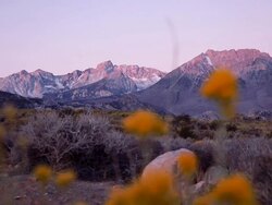 Sunrise Sierra Nevada Mountains Stock Footage