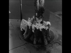 CAN214 INDEPENDENCE ANNIVERSARY CELEBRATION IN ALGIERS News Clip