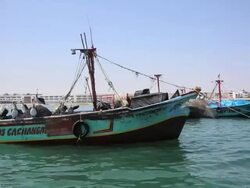 WS POV View from boat of Paracas birds sitting on boats at seaport / Paracas, Nazca, Peru Stock Footage