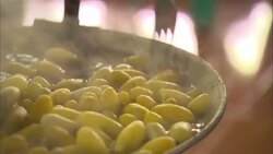 A fork stirs silk cocoons that boil in a kettle as the threads are gently pulled away. Stock Footage