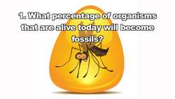 Science Kids: All About Natural Selection and Adaptations Instructional Video