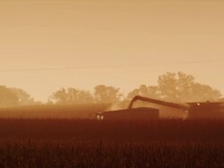 Wide shot in a cornfield featuring a combine transferring harvested corn into a wagon against  golden sunset. Stock Footage