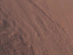 People climbing dune, pull out, Dead Vlei, Namib-Naukluft, Namibia Stock Footage