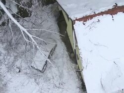 Tree Fell On To A Car Stock Footage