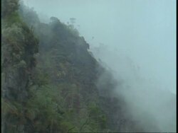 WA mist moving down jungle covered mountainside, Uganda, Africa Stock Footage