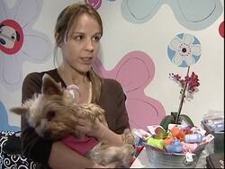 For pampered pets and strays looking for a new home it's a dog's life this Christmas News Clip