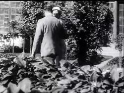 Princess Ileana Has A Flying Honeymoon News Clip