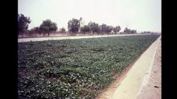 Anupam Mishra: The ancient ingenuity of water harvesting Instructional Video