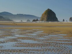 HD Cannon Beach Oregon Stock Footage
