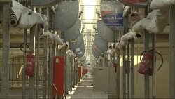A walkway separates two covered pavilions lined with fire extinguishers in Saudi Arabia. Stock Footage