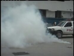 Police fired tear gas to disperse a crowd outside the ruins of Haiti's national palace on Thursday, after they had gathered to demand the resignation of President Rene Preval. News Clip