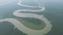 Aerial over s-shaped mangrove forest Stock Footage