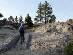 HD video visitor and Oregon Trail wagon ruts Wyoming Stock Footage