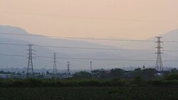 Birds Flying Home in the evening Stock Footage