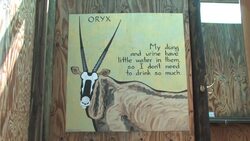 Centre in the desert shows how to adapt to climate change News Clip