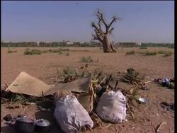 Pro-UN Demo As Egeland Visits Sudan, Reactions From US, UN News Clip