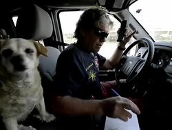 Stranded Seal Lions Rescued In Southern California Stock Footage