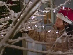 CU Shot of little boy setting lights on outdoor Christmas tree / Yarmouth, Maine, United States Stock Footage