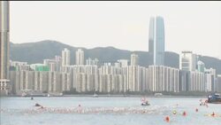 Less pollution allows for first cross-harbour swim in 33 years News Clip