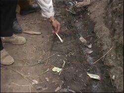 Hunt for leopard that killed three children News Clip