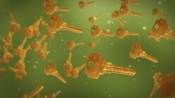 Golden keys drift through a green liquid. Stock Footage