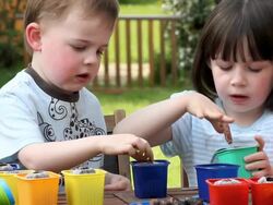 Children gardening planting seeds Stock Footage