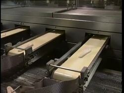Fillets of fish moving along conveyor belts, pan left worker sorting fillets, South island, NZ, Stock Footage