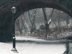 WS View of Bridge and lamp in Central Park during snow / New York City, New York, USA Stock Footage