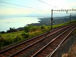 fast train passing vineyard near Lac Leman Stock Footage
