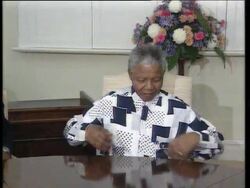 Land Restitution Bill Becomes Law, Mandela Says He Will Continue To Sell Arms News Clip