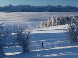 moving mist Stock Footage