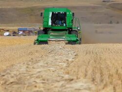 Farmer harvesting wheat field with combine harvester Stock Footage